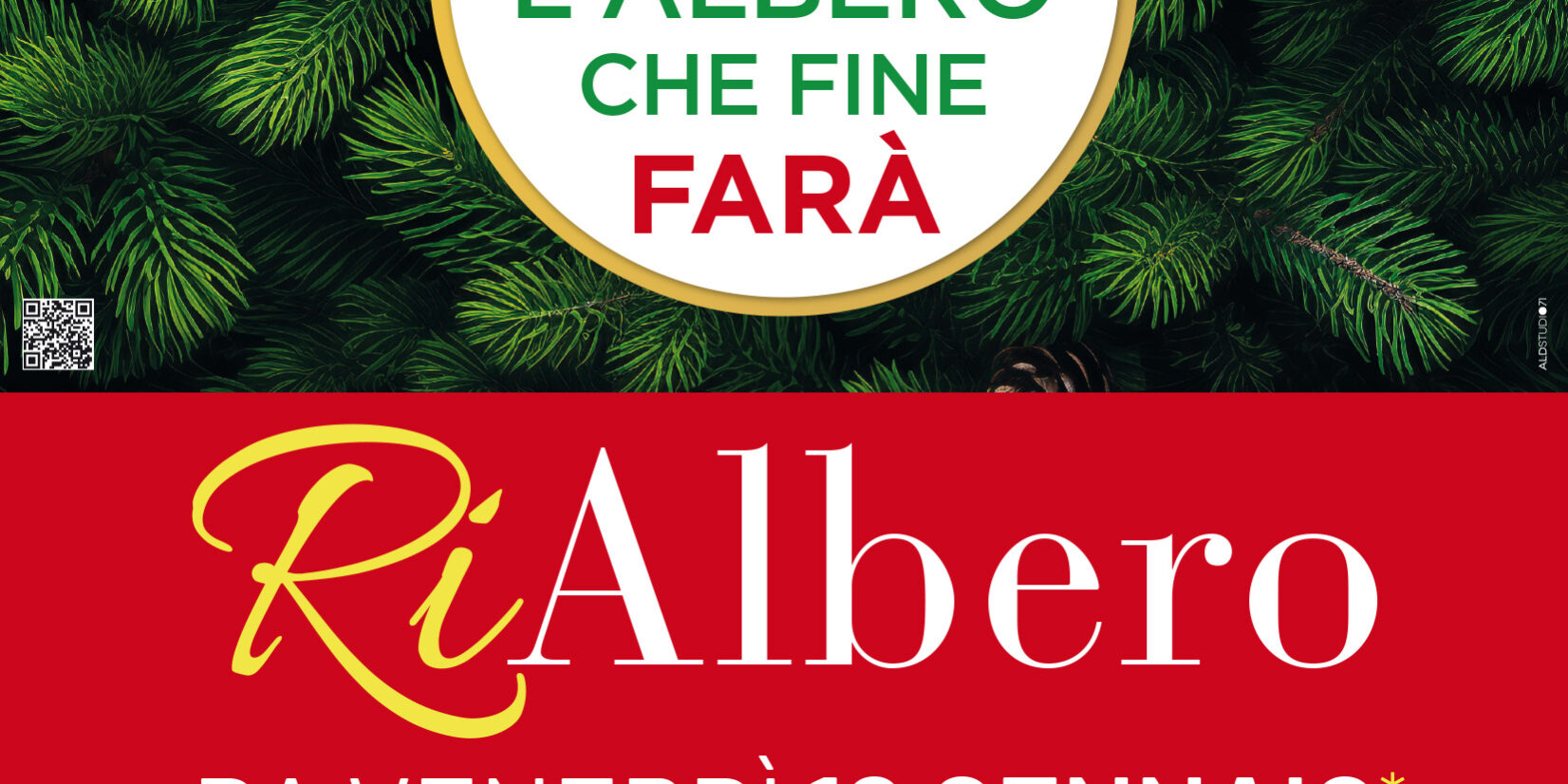 Raccolta Alberi di Natale Torre_03